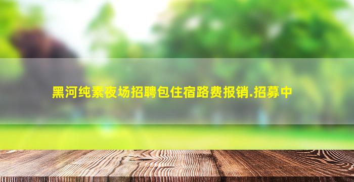 黑河纯素夜场招聘包住宿路费报销.招募中